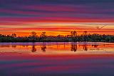 Rideau Canal Sunrise_P1120303-5